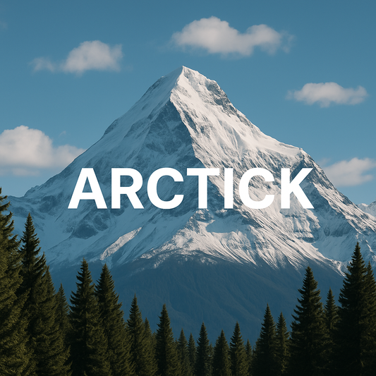 5 Reasons Why You Need Arctick